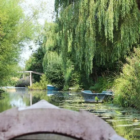 Papillon En Plein Coeur De Saint-Omer